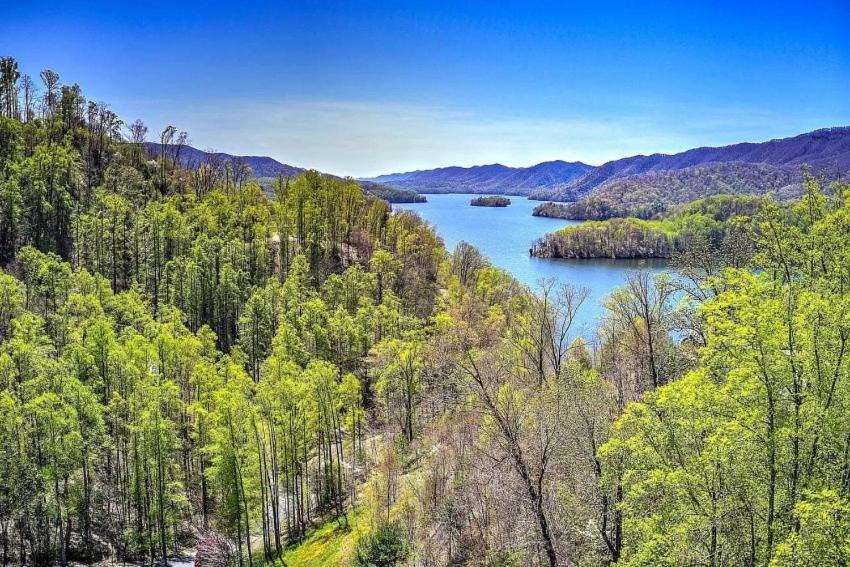 Butler Iron Mountain Lodge - Beautiful Cabin With Forest & Mountain Views! מראה חיצוני תמונה