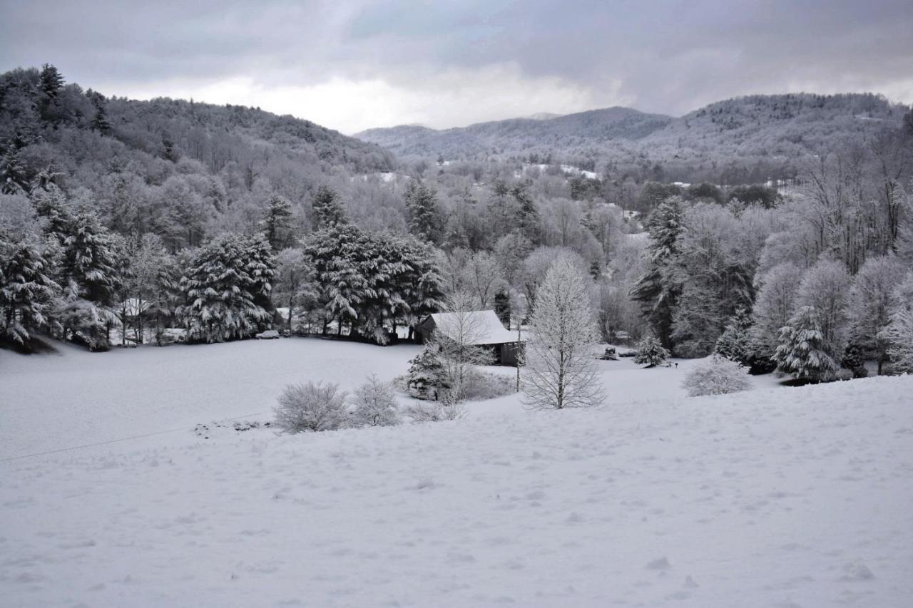 Butler Iron Mountain Lodge - Beautiful Cabin With Forest & Mountain Views! מראה חיצוני תמונה